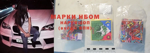 крисы Баксан