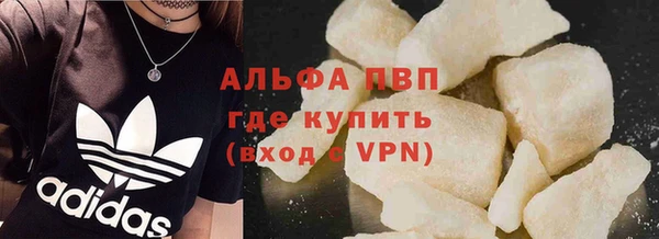 крисы Баксан