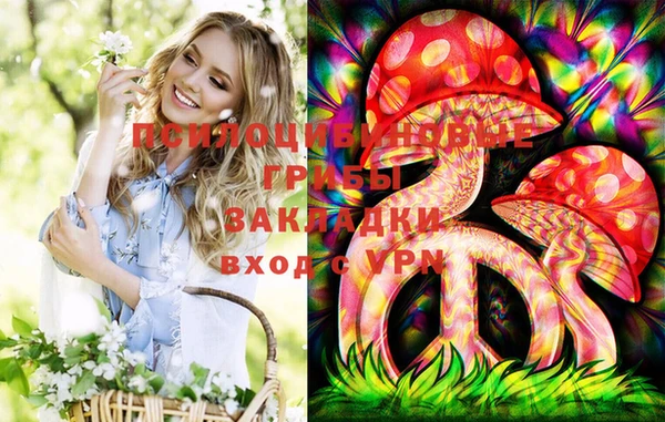 крисы Баксан