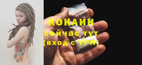 крисы Баксан