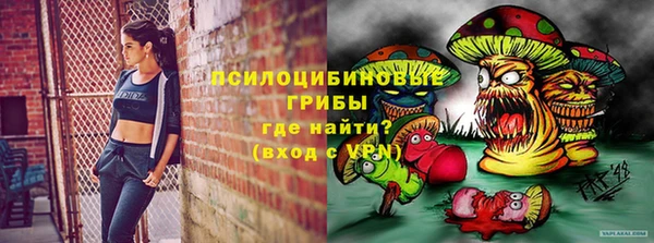 крисы Баксан