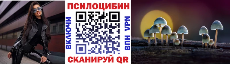 Псилоцибиновые грибы Magic Shrooms  купить наркотики цена  Тихвин 